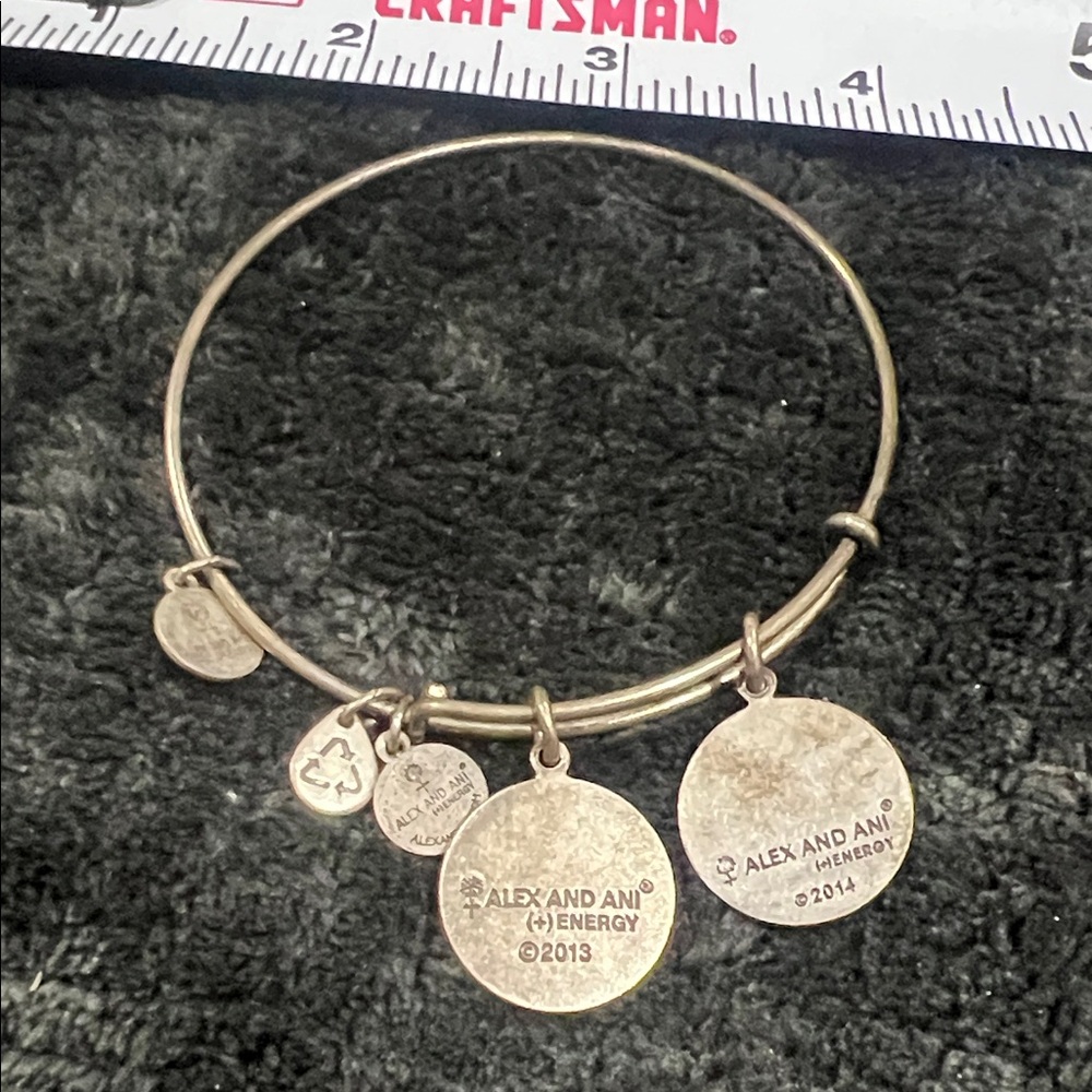 Alex and Ani  Silver Charm Bangle Bracelet - Picture 3 of 3